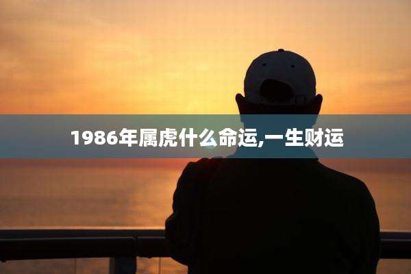1986年属虎什么命运,一生财运