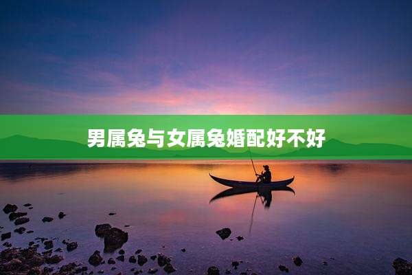 男属兔与女属兔婚配好不好