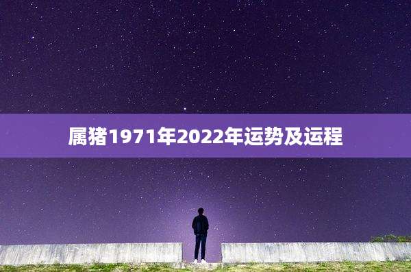 属猪1971年2022年运势及运程