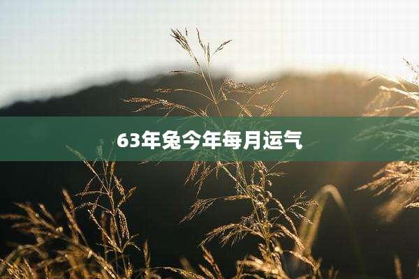 63年兔今年每月运气