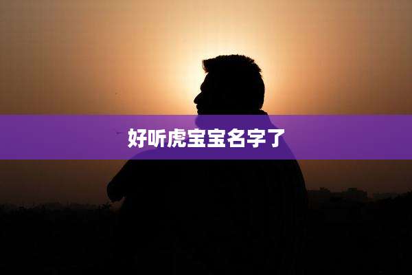 好听虎宝宝名字了
