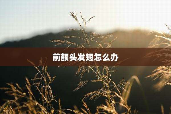 前额头发短怎么办