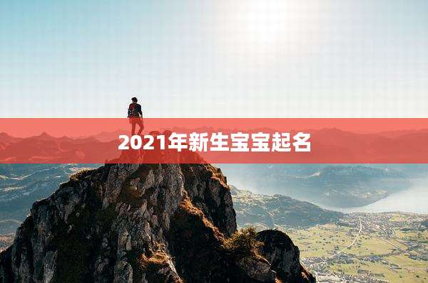 2021年新生宝宝起名