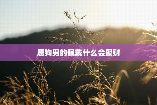 属狗男的佩戴什么会聚财