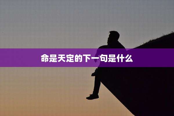 命是天定的下一句是什么
