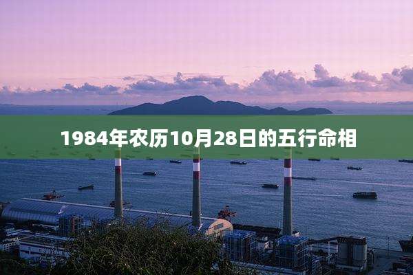 1984年农历10月28日的五行命相