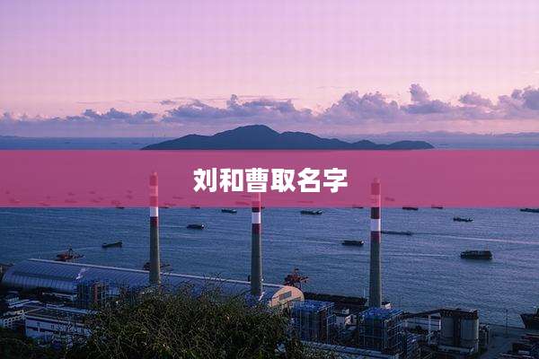 刘和曹取名字