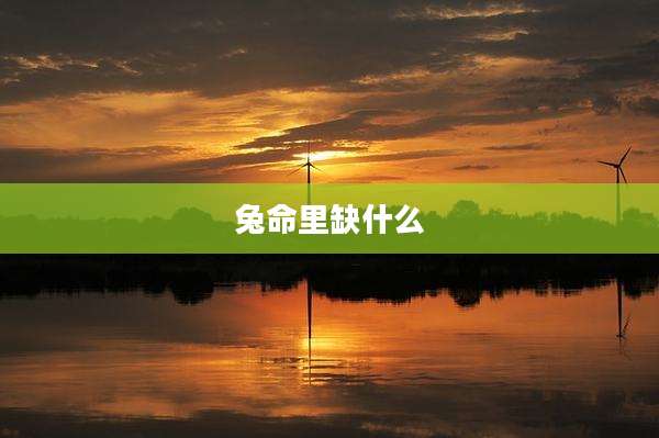 兔命里缺什么