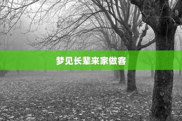 梦见长辈来家做客