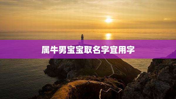 属牛男宝宝取名字宜用字