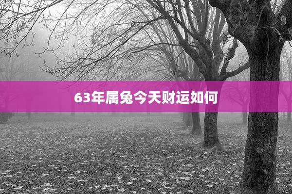 63年属兔今天财运如何