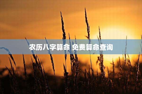 农历八字算命 免费算命查询