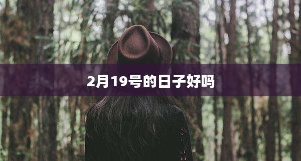 2月19号的日子好吗