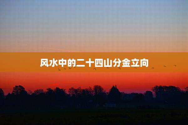 风水中的二十四山分金立向