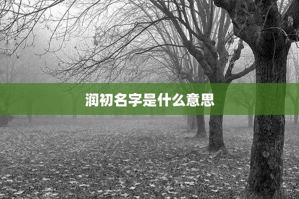 润初名字是什么意思
