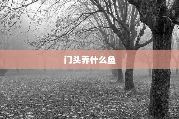 门头养什么鱼