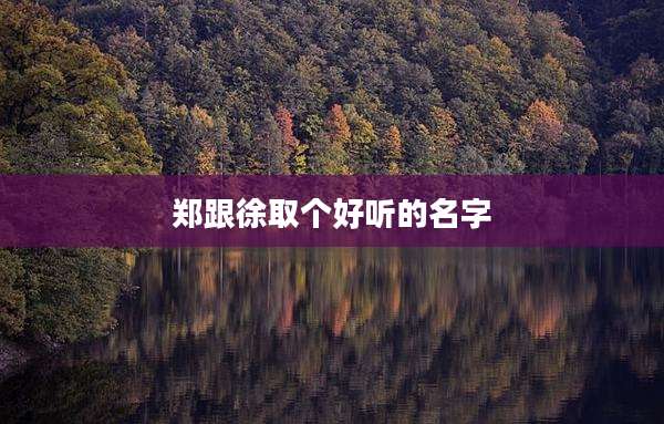 郑跟徐取个好听的名字