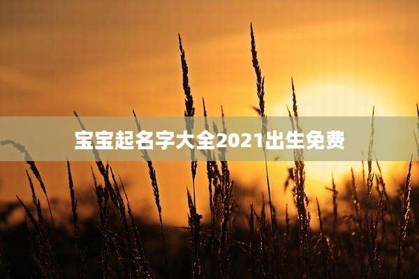 宝宝起名字大全2021出生免费