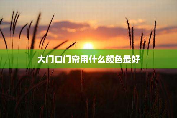 大门口门帘用什么颜色最好