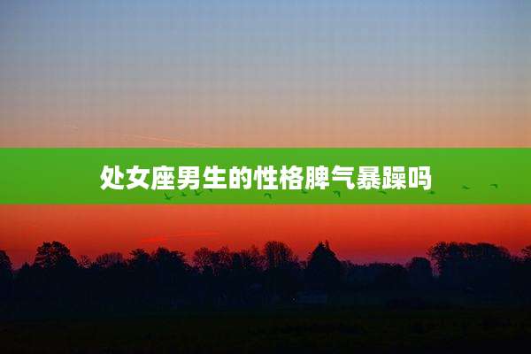 处女座男生的性格脾气暴躁吗