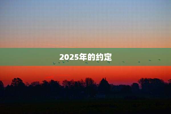 2025年的约定