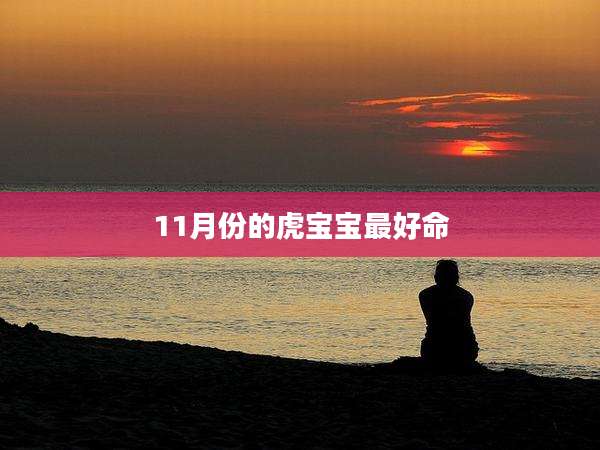 11月份的虎宝宝最好命