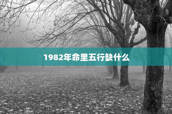 1982年命里五行缺什么