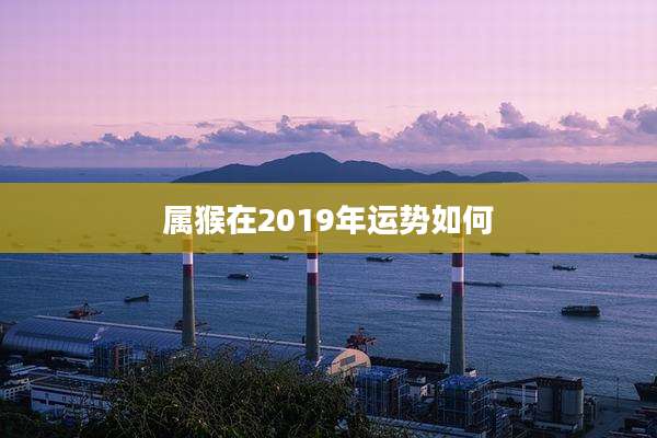 属猴在2019年运势如何