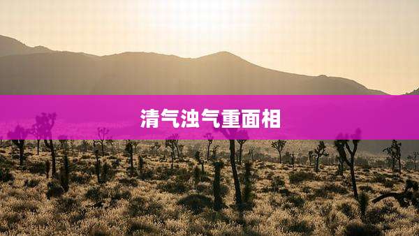 清气浊气重面相