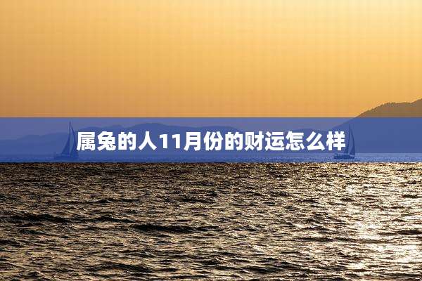 属兔的人11月份的财运怎么样