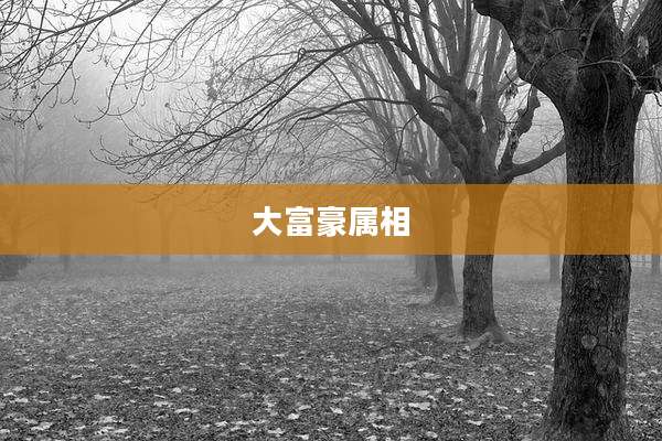 大富豪属相