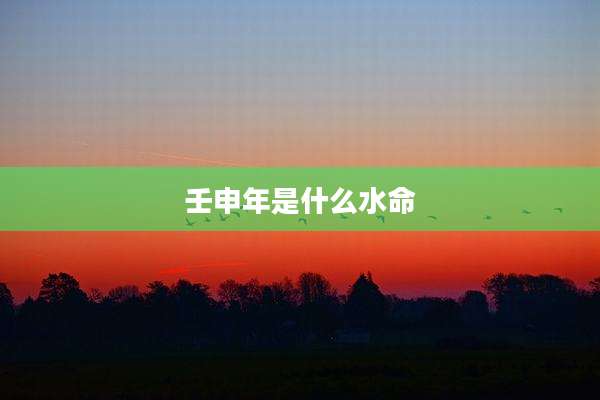 壬申年是什么水命