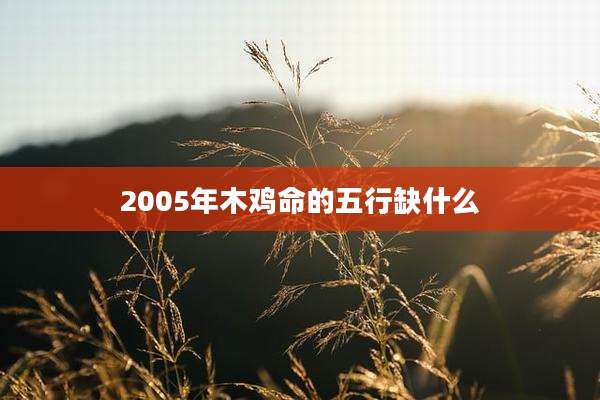 2005年木鸡命的五行缺什么
