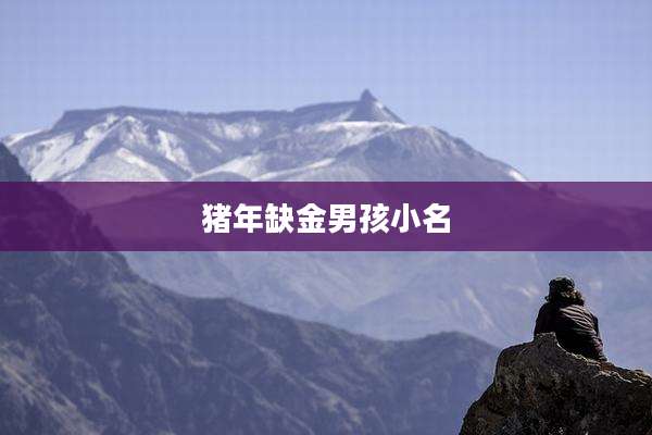 猪年缺金男孩小名