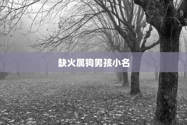 缺火属狗男孩小名