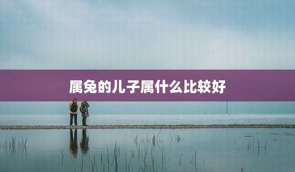 属兔的儿子属什么比较好