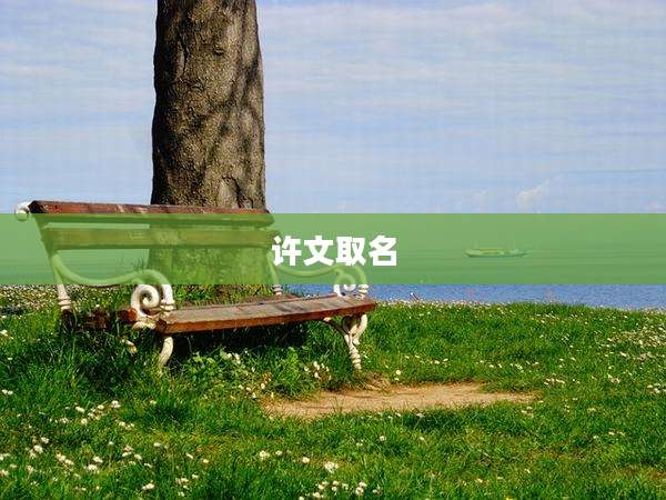 许文取名