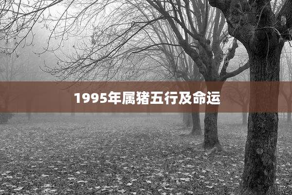 1995年属猪五行及命运