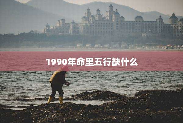 1990年命里五行缺什么