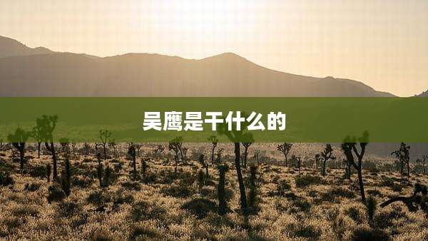 吴鹰是干什么的