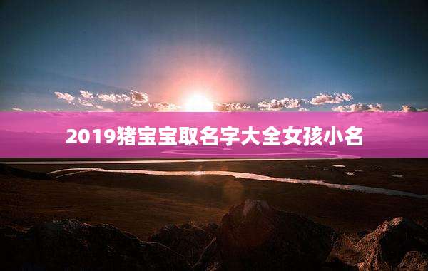 2019猪宝宝取名字大全女孩小名