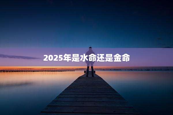 2025年是水命还是金命