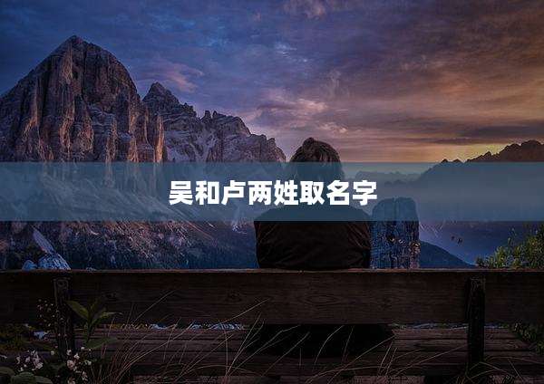 吴和卢两姓取名字
