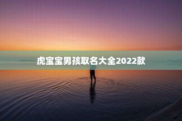 虎宝宝男孩取名大全2022款