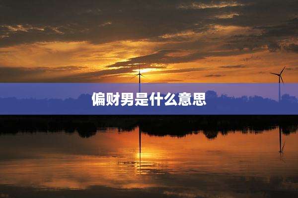 偏财男是什么意思
