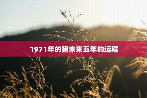 1971年的猪未来五年的运程