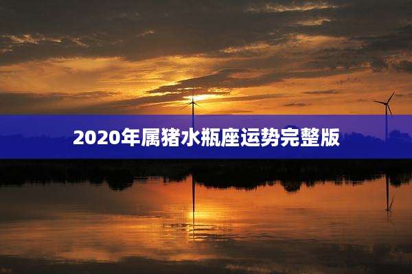 2020年属猪水瓶座运势完整版