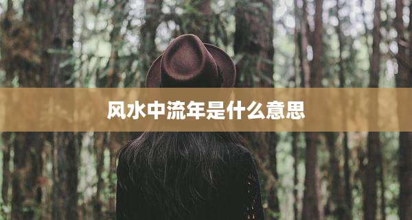 风水中流年是什么意思