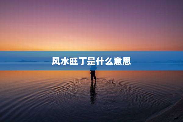 风水旺丁是什么意思