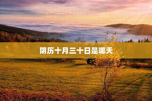 阴历十月三十日是哪天